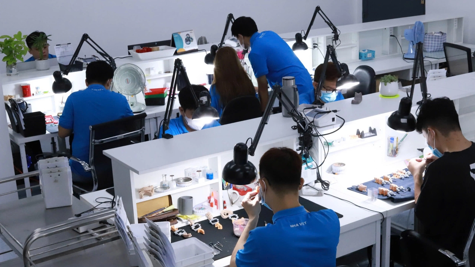 Xdent Lab - The Right Partnership Starts with Trust Xdent Lab - The Right Partnership Starts with Trust