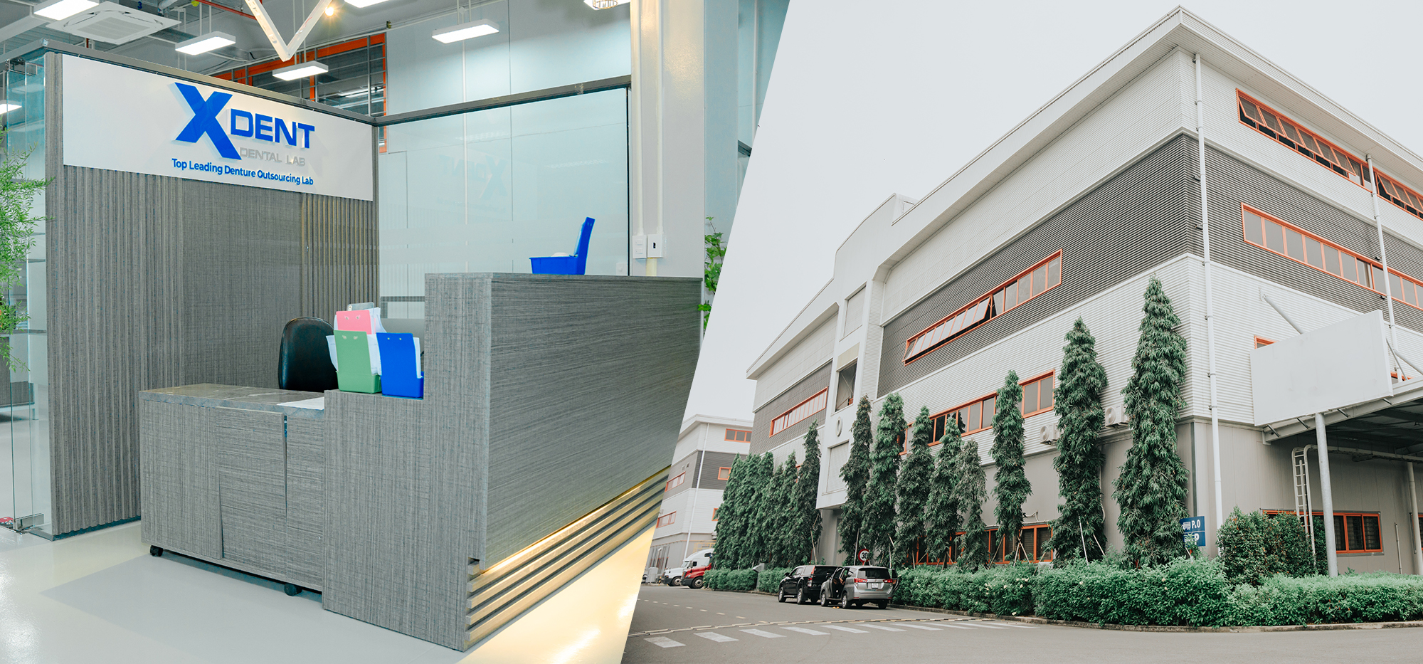 Best Dental Lab Vietnam For Us Clinics Best Dental Lab Vietnam For Us Clinics